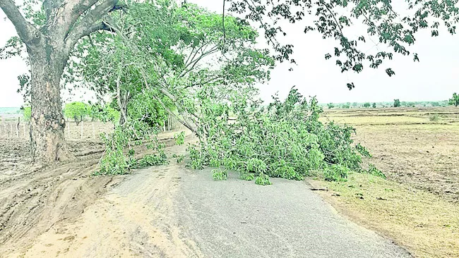 మన్నెగూడెం రోడ్డుకు అడ్డంగా విరిగిపడిన చెట్టు - Sakshi