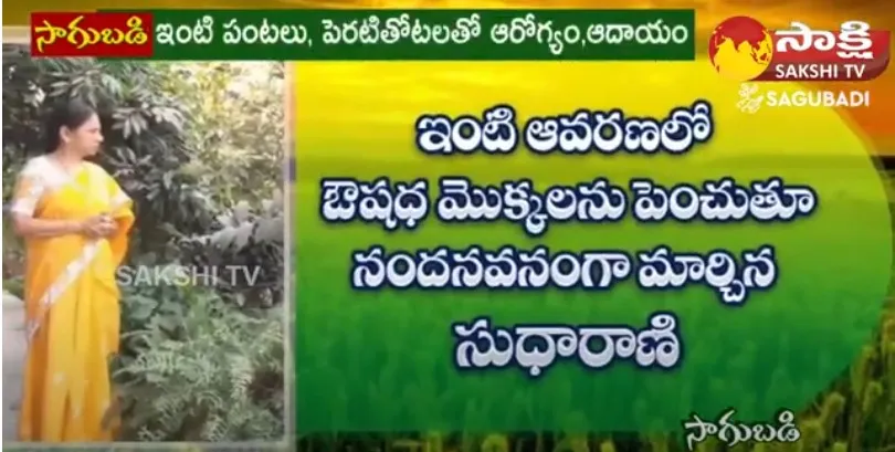 Women Success Story On Cultivation Of Medicinal Plants in Sathupalli