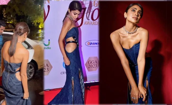 Shriya Saran Risks Dress Open Gets Viral Trolled - Sakshi