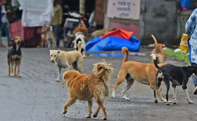 Telangana: Dog Attack, Five People Injured Kamareddy - Sakshi