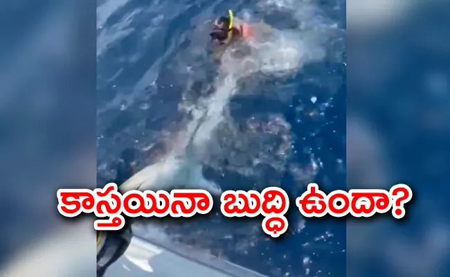 PETA Slams Viral Video Of Man Wrestling With Shark - Sakshi