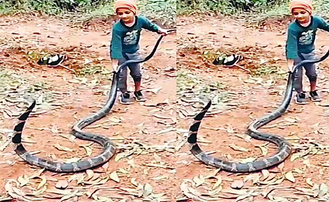 5 year Old Boy Playing With Cobra In Karnataka - Sakshi