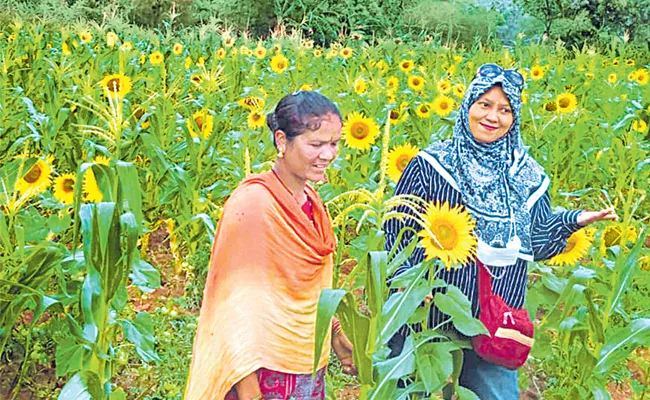 Pongi Vineetha From Andhra Pradesh Won Best Farmer Award - Sakshi