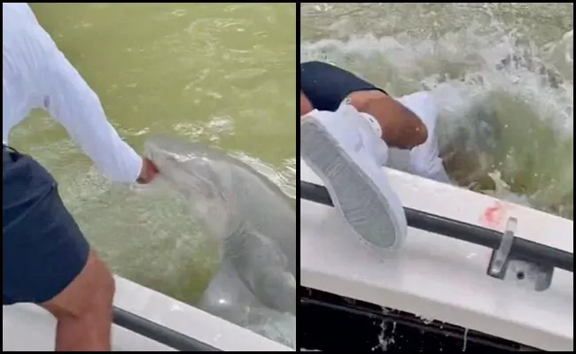 Shark Biting Man Hand And Dragging Him Into The Water - Sakshi