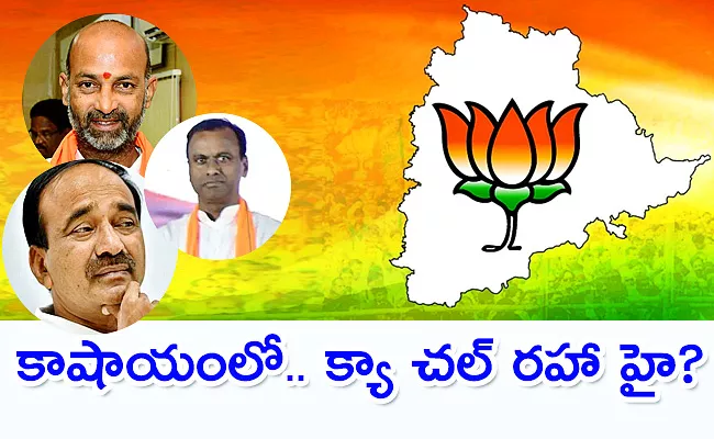 Kommineni Comment On Telangana BJP Confuse Politics - Sakshi