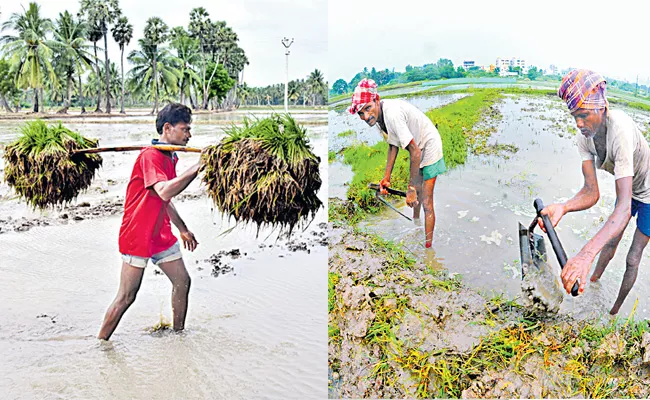 Farmers are included in the list of professionals - Sakshi