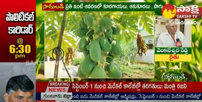 Fully Organic Farming by Pandurangapuram Farmers 