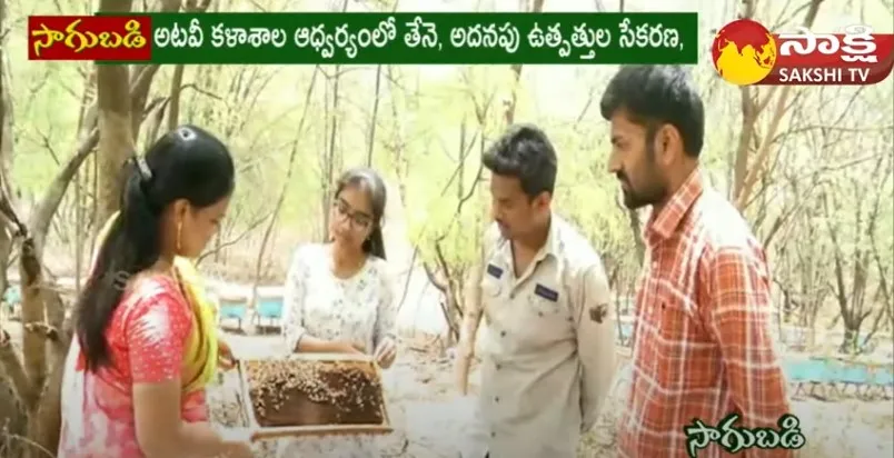 Beekeeping Training in Siddipet