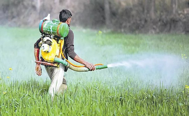 Excessive use of chemical fertilizers and pesticides is harmful - Sakshi