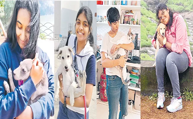 National Animal Rights Day: Animal Rights or Animal Welfare - Sakshi