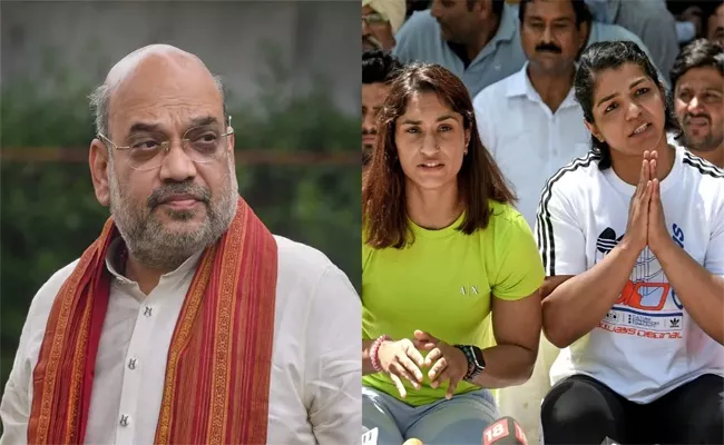 Protesting Wrestlers Did Not Get Assurance Of Amit Shah - Sakshi