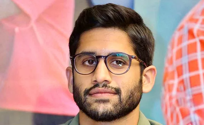 Naga Chaitanya Team Clarity On Telugu remake of Bhool Bhulaiyaa 2 - Sakshi