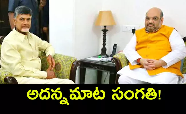 Why Chandrababu Not Talk To Media After Meeting Amit Shah And Nadda - Sakshi