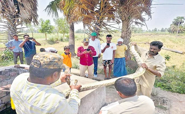 Viral: Huge Python Found In Well hanamkonda - Sakshi