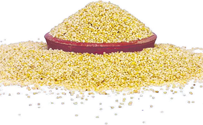 Andhra Pradesh Govt Proposal To Central Govt On Foxtail millets - Sakshi