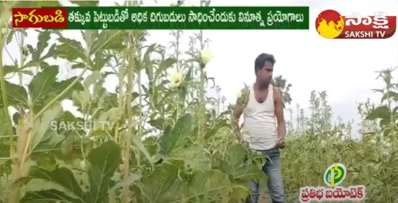 Benifits Of Organic Farming | vegetable farming