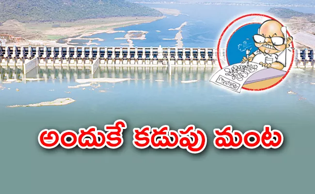 EENADU Ramoji Propaganda On CM YS Jagan Over Polavaram Funds - Sakshi