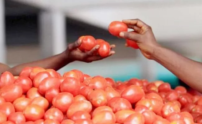 Centre Plans To Procure Tomato These States Include Andhra Pradesh - Sakshi