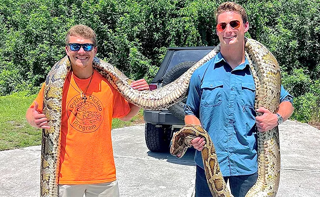 Longest Ever Burmese Python Caught In US - Sakshi