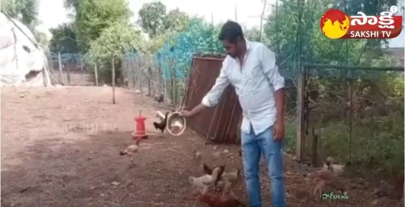 Natu Kollu Farming In Telugu 