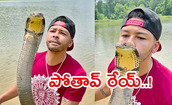 Fearless Man Kisses Massive King Cobra On Head - Sakshi