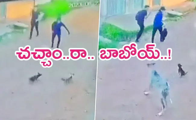 Youth Scared Away Puppies video viral  - Sakshi