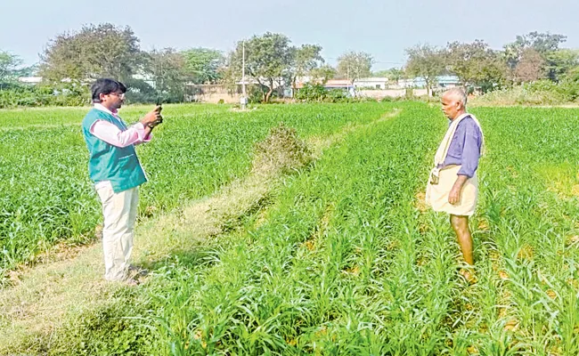 Dedicated app for e-crop registration in Andhra Pradesh - Sakshi