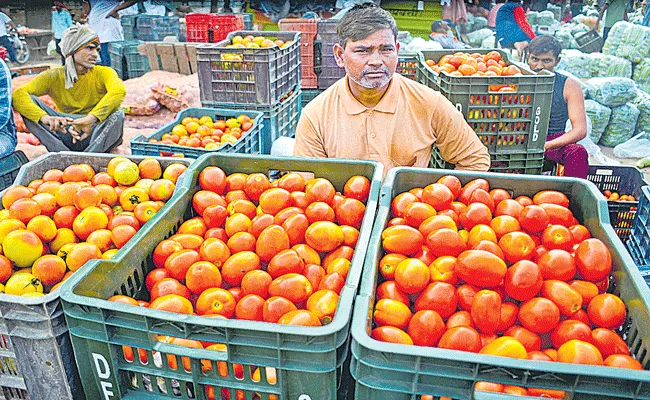 Centre directs NAFED, NCCF to procure tomatoes distribute - Sakshi