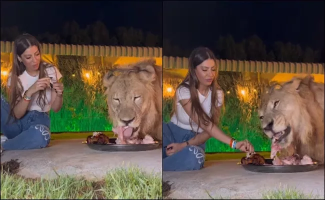 Viral Video: Woman And Lion Eating From The Same Plate - Sakshi