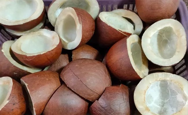 Kitchen Tips: How To Store Dry Coconut For Long Time - Sakshi