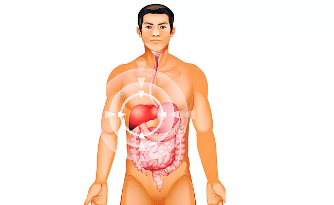 Nonalcoholic Fatty Liver Disease Symptoms And Causes - Sakshi