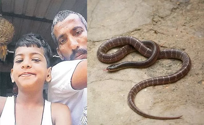 Father And Son Died Of Snake Bite In Kamareddy District - Sakshi