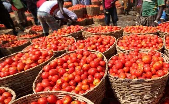 Kgs Of Tomato Theft In Zaheerabad Market - Sakshi