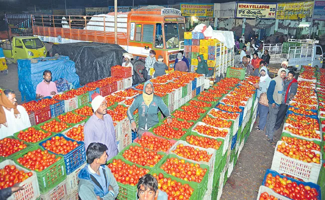 Sakshi Guest Column On Tomato prices