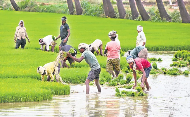 Farmers are excited by abundant rains Andhra Pradesh - Sakshi