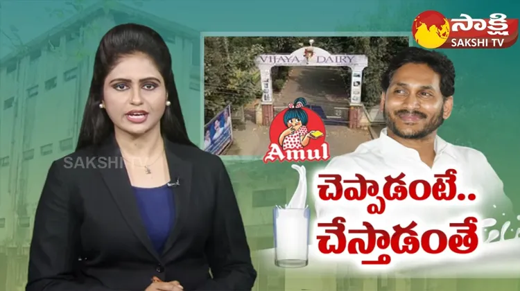 CM Jagan To Lay Stone For Amul Dairy Unit In Chittoor