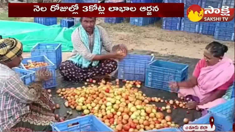 Andhra Pradesh Tomato Farmer Jackpot