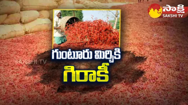 Huge Demand For Guntur Mirchi 