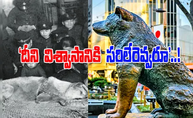 Hachiko The Worlds Most Loyal Dog Turning 100 This Year - Sakshi