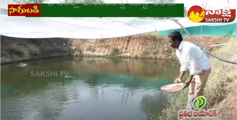 Profits With Fish Farming | Aquaculture