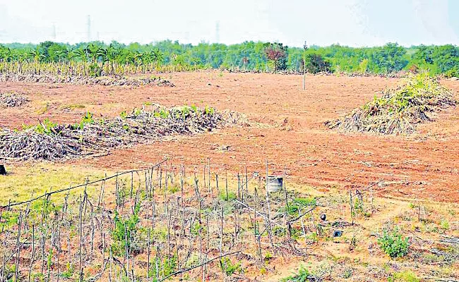 YS Jagan government will distribute agricultural lands - Sakshi