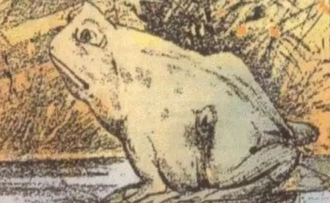 Frog Or Horse, What You See First In This Image Will Unveil Your Hidden Personality - Sakshi