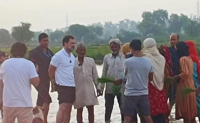 Congress Leader Rahul Gandhi Interacts With Farmers - Sakshi