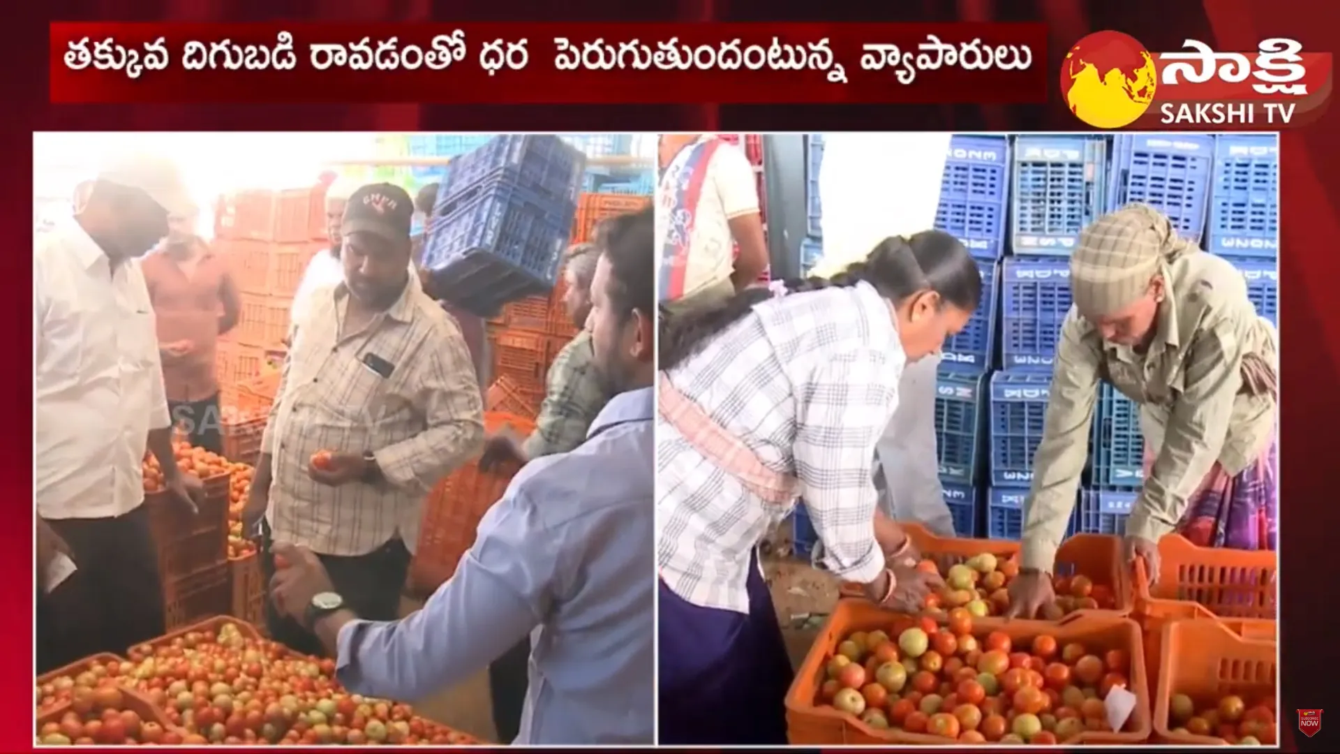 Madanapalle Tomato Market Price In Annamayya District 