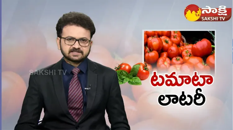 Record Level Profit To Tomato Formers 