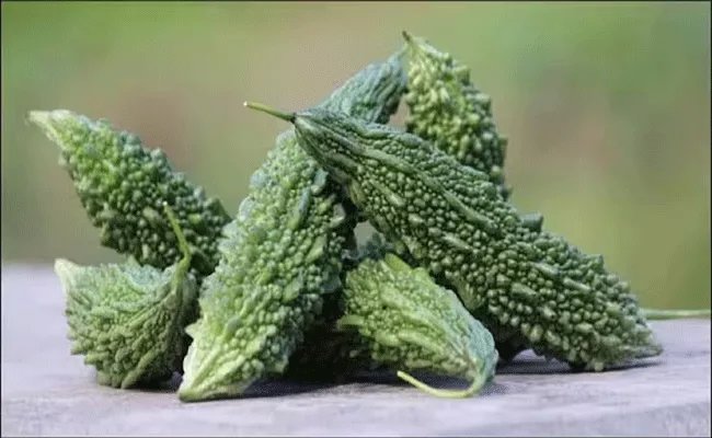 Woman Received Bitter Gourd Karela with Swiggy Instamart Order - Sakshi