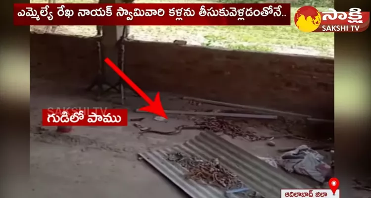 Snake Hulchul In Hanuman Temple At Adilabad District 