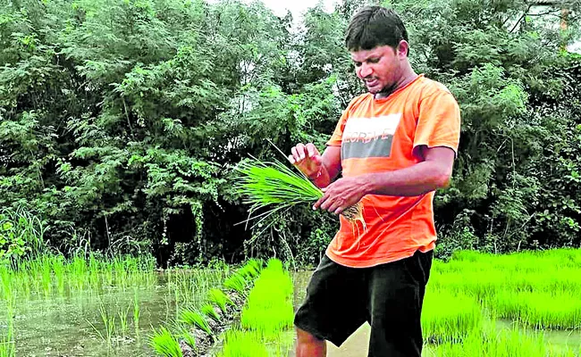 National Award for AP Farmer - Sakshi