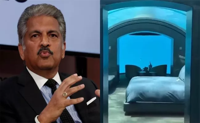 Anand mahindra twitter video i dont think i would get a wink of sleep - Sakshi