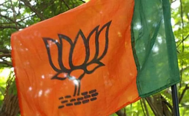 Assam BJP Member Expelled After Alleged Suicide Of Woman Leader - Sakshi